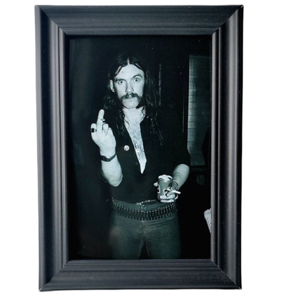 Lemmy Kilmister Motorhead Middle Finger smokin 70s 80d Metal Rock Guitarist Art